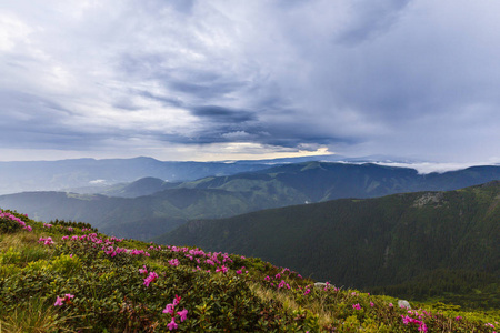 在欧洲阿尔卑斯山的夏季风景, 与戏剧性的雾云