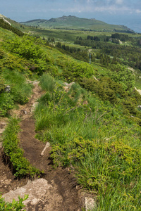 位于保加利亚索非亚 Vitosha 山的绿色丘陵全景