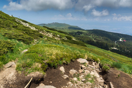 位于保加利亚索非亚 Vitosha 山的绿色丘陵全景