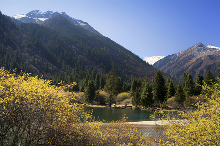 中国四川新都桥，稻城亚丁，风景美丽的秋色