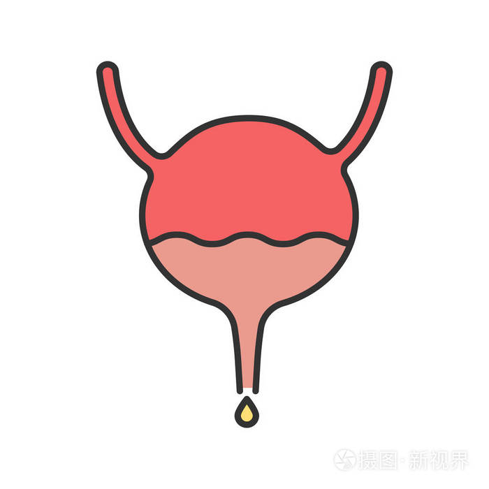 膀胱输尿管和尿道颜色图标泌尿系统孤立向量插图