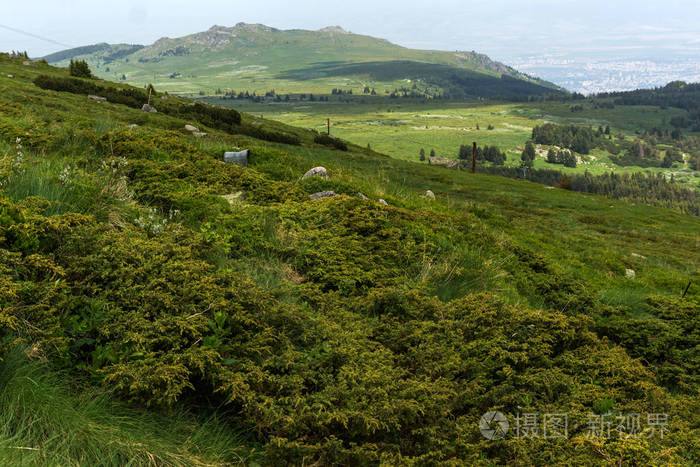 位于保加利亚索非亚 vitosha 山的绿色丘陵全景