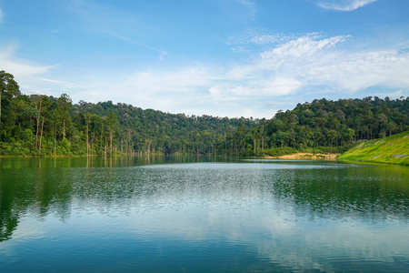 绿色的湖水图片-绿色的湖水素材-绿色的湖水插画-摄图新视界