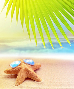 沙滩上的太阳镜海星和海洋背景下的棕榈叶