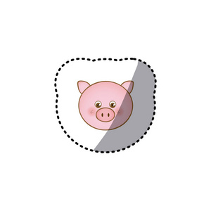 小贴士彩色图片脸可爱的小猪动物