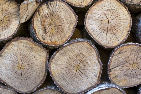 大老圆形软褐色老式的顶部视图噼啪作响的木树桩截割的背景, paperwall 设计纹理使用