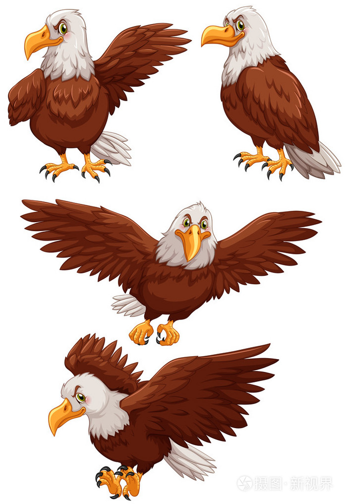 在不同的操作的四个鹰