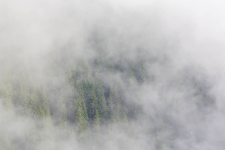 在欧洲阿尔卑斯山的夏季风景, 与戏剧性的雾云