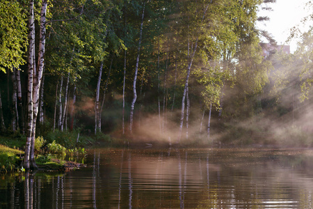 美丽的纯净的湖表面与蒸汽在水和树之上