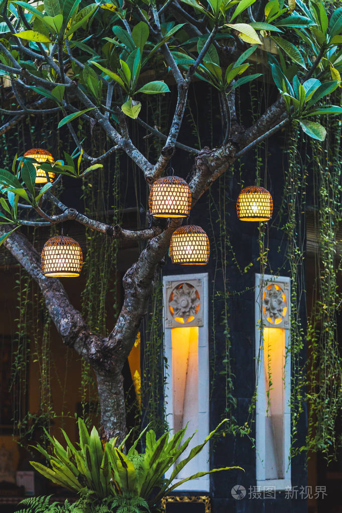 hahd 把柳条灯挂在花园外的树上