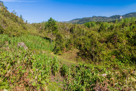 危地马拉 Yalambojoch 村附近的风景