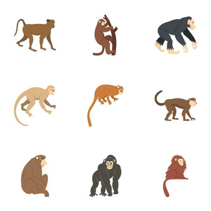 丛林猴子图标集，平面样式