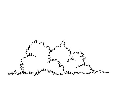 灌木丛怎么画简单图片