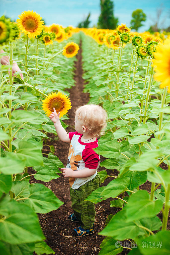 可爱的孩子与金色卷发与向日葵在夏天向日葵领域在日落儿童幸福概念