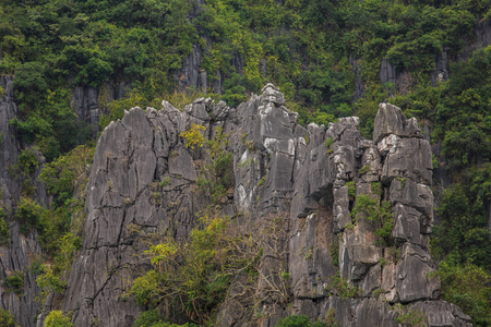 美丽的风景越南山