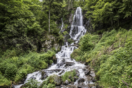 在森林里的小溪流过长满青苔的石头照片