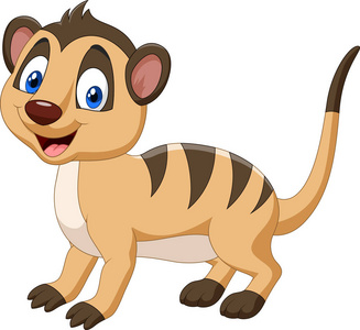 卡通快乐的猫鼬插图照片