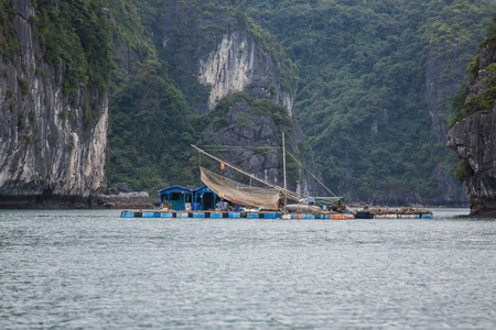 美丽的风景越南山