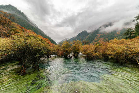 美妙的风景的盆景浅滩，九寨沟自然保护区