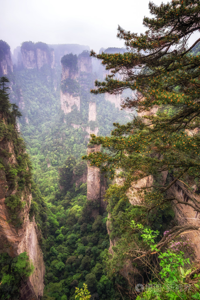 高大的山峰的袁家界