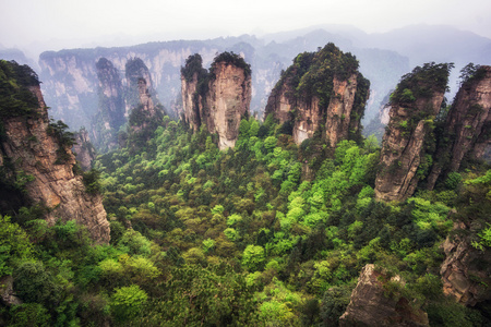 高大的山峰的袁家界