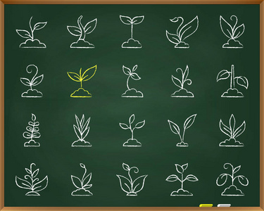 植物粉笔画草粉笔画线图标矢量集照片