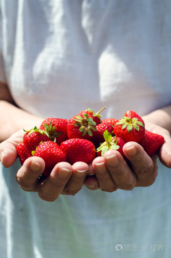 手捧草莓的女人.夏季概念