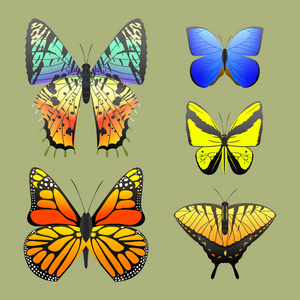 与抽象装饰图案夏季免费的彩蝶飞目前的轮廓和美自然春天昆虫装饰。矢量图
