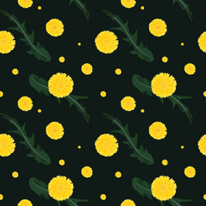 无缝的花卉图案。蒲公英元素的背景。植物纹理设计