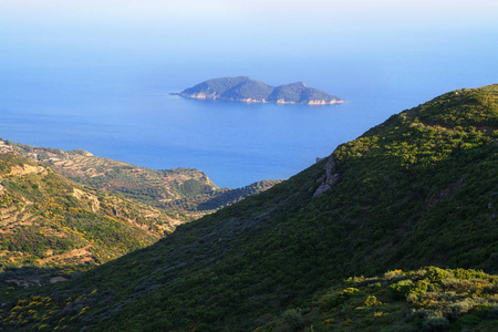 美丽的绿色海岛在海