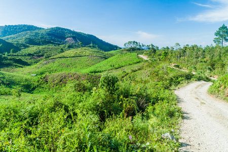 危地马拉 Yalambojoch 村附近的风景