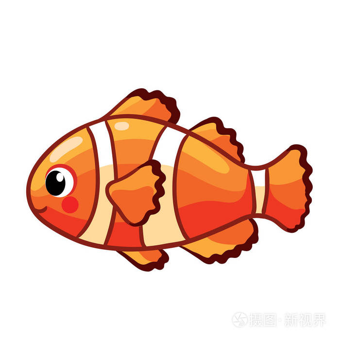 在白色背景下被隔离的小丑鱼或海葵鱼