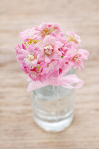 美丽小束粉色长寿花鲜花