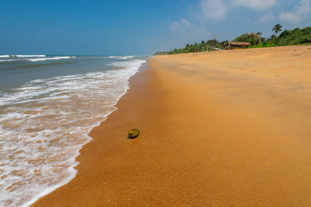 未触及的热带海滩与棕榈, 斯里兰卡