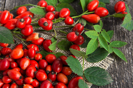 狗玫瑰与束枝玫瑰果, 类型罗莎蔷薇臀部.药用植物和草药成分摄影图