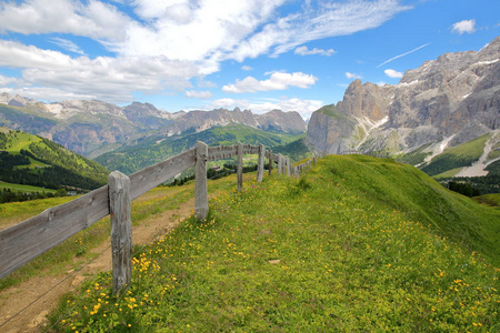 蝶鞍群山 在右边 和 Cir 山 在左边 从一条徒步旅行的路径观看在塞尔瓦上面与黄色花和一个木篱芭在前景, 瓦尔加迪纳