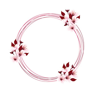 圆线作为花圈装饰用樱花花束, 樱花甜粉红色花与拷贝空间在白色背景。矢量插图