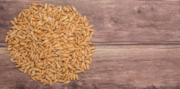 原料小麦图片-原料小麦素材-原料小麦插画-摄图新视界