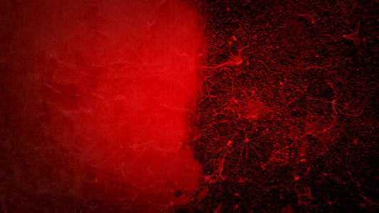 墙上的老红蜘蛛网看起来像病毒生物危害