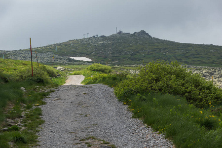 位于保加利亚索非亚市 Cherni Vrah 峰附近的 Vitosha 山绿色丘陵全景