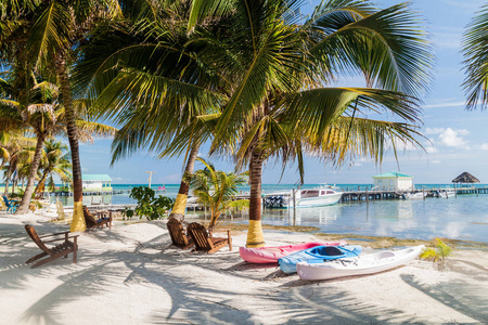 伯利兹 Caye Caulker 岛棕榈海滩