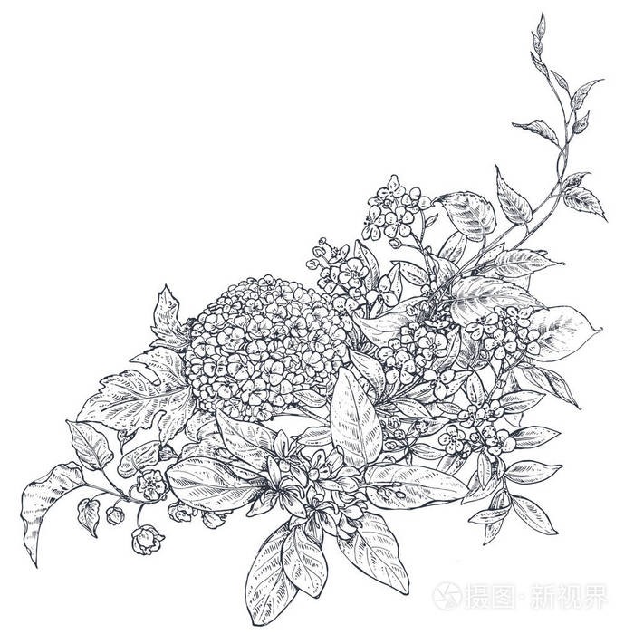 带手绘花枝的矢量花束