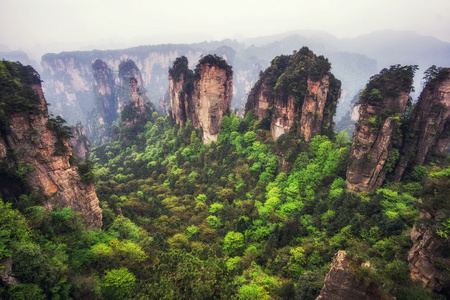 高大的山峰的袁家界