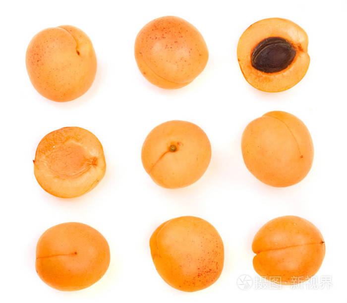 在白色背景下分离的杏果实。顶部视图。平躺模式。集或集合