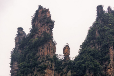 高大的山峰的 yangjiajie