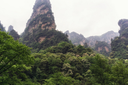 高大的山峰的 yangjiajie