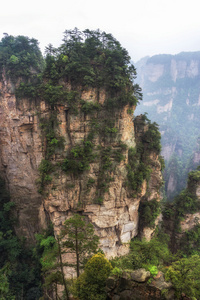 高大的山峰的袁家界