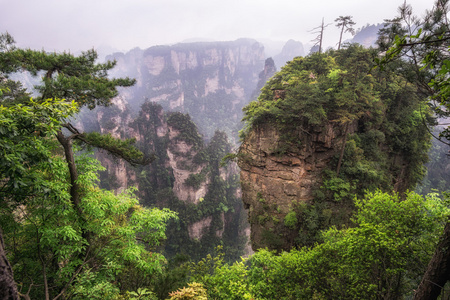 高大的山峰的袁家界