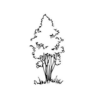 手绘建筑师树, 矢量素描, 建筑插图照片