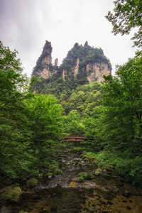 在 yangjiajie 桥河畔